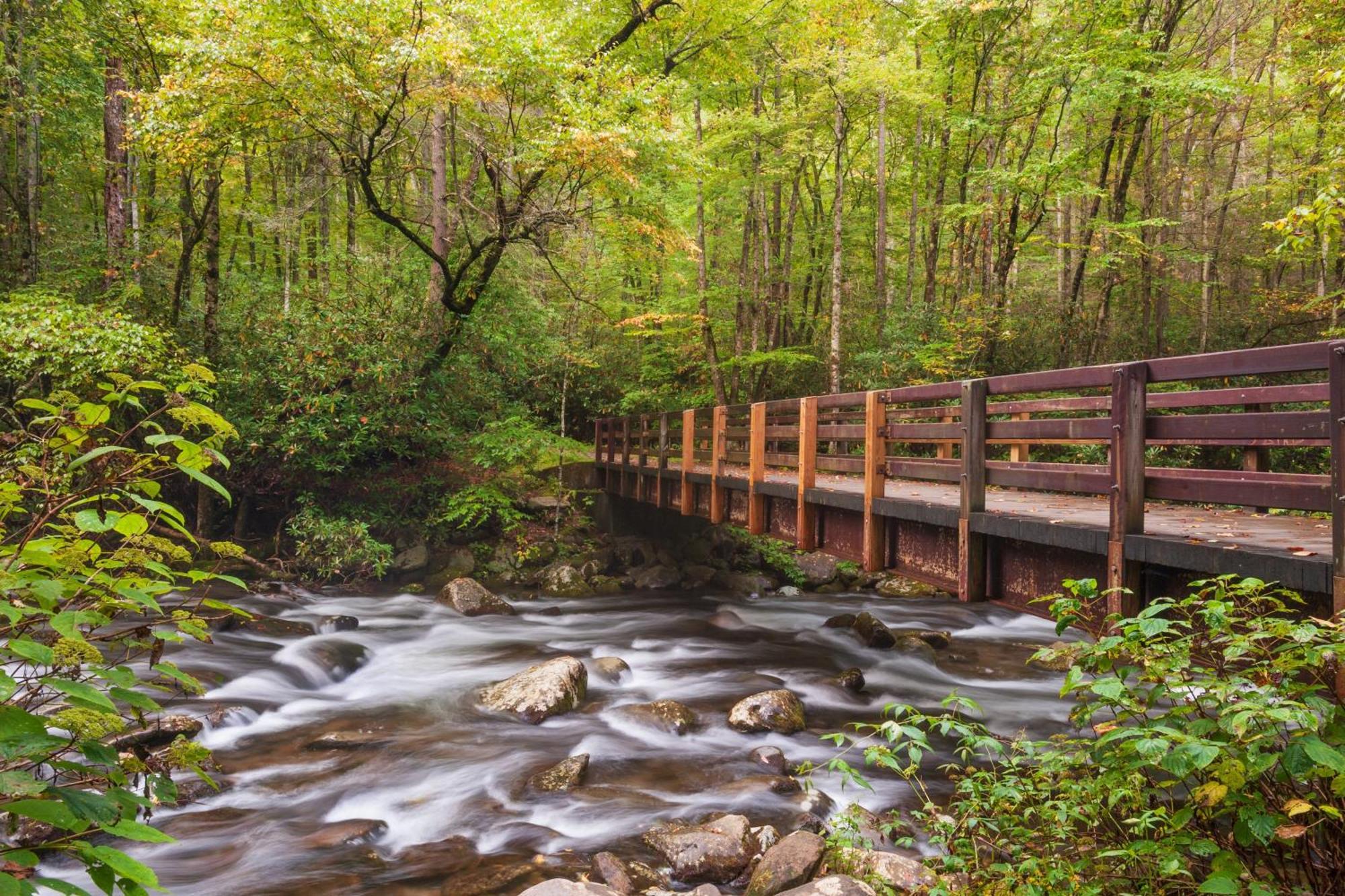 Heavenly Bear, Hot Tub, 1089 Of Free Attraction Tickets For Each Paid Day, Dollywood And More Sevierville Εξωτερικό φωτογραφία